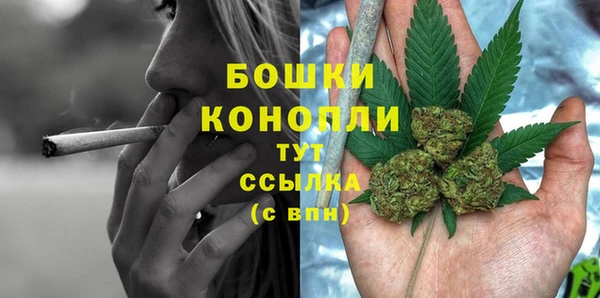 молекула духа Алапаевск