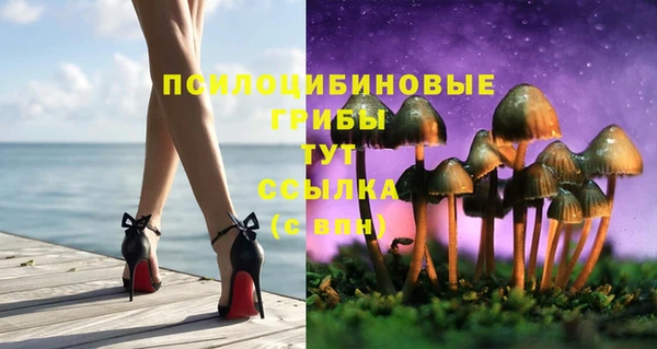 СК Медвежьегорск